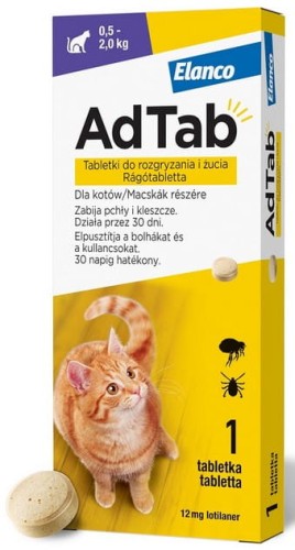adkoci.jpg