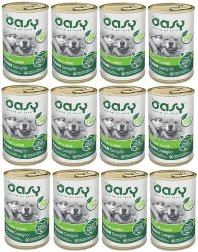 oas12kr.jpg