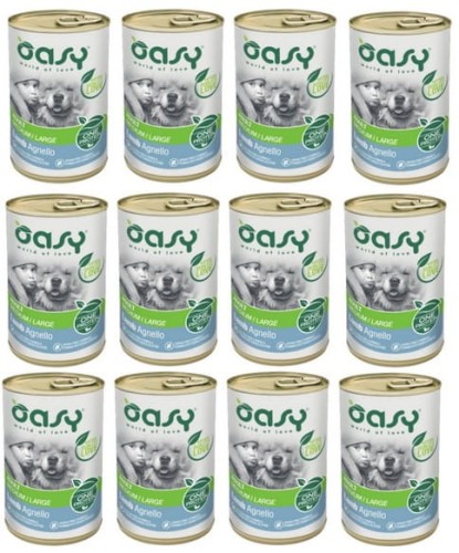 oas12jag.jpg