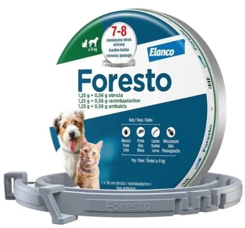 fornowe.jpg