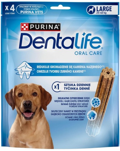 dentL.jpg