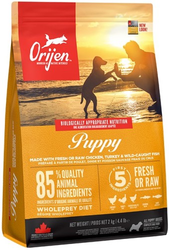 orijpup2.jpg