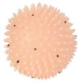 48c62ba8f550e35fb6a507710b35b7ab