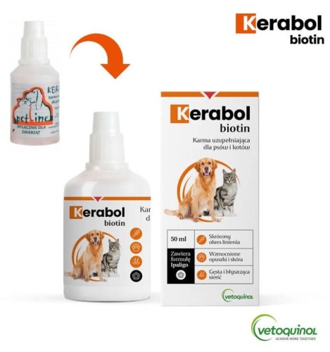 a7f4ff06a1484b2a783b40386dc6c930