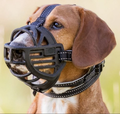 df65bc460c46e18f426e989cf068ba52