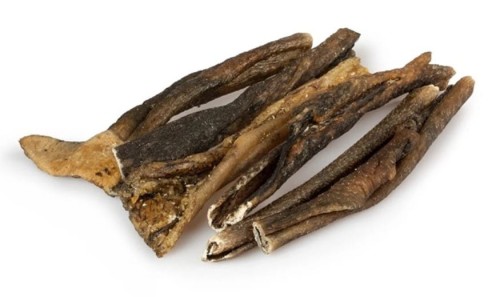 2c18d0c2825ffaeb5a38e1d2b72d037a