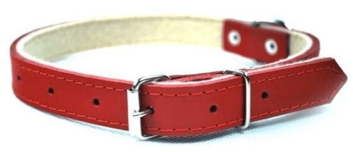 a06360e2910a98d2052f60a2db0d91f7