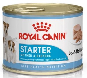 ROYAL CANIN Starter Mousse 195g