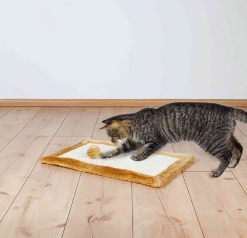 b6798741bcbbad99f90f3d9b468ae20e