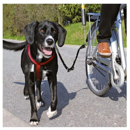 64d5a272b178578d832a9fa7be85142c