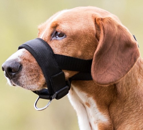 65f8a11f1ebad8fecbfed1876ab571ea